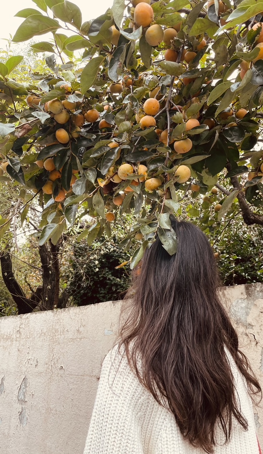 大原彩加 profile photo