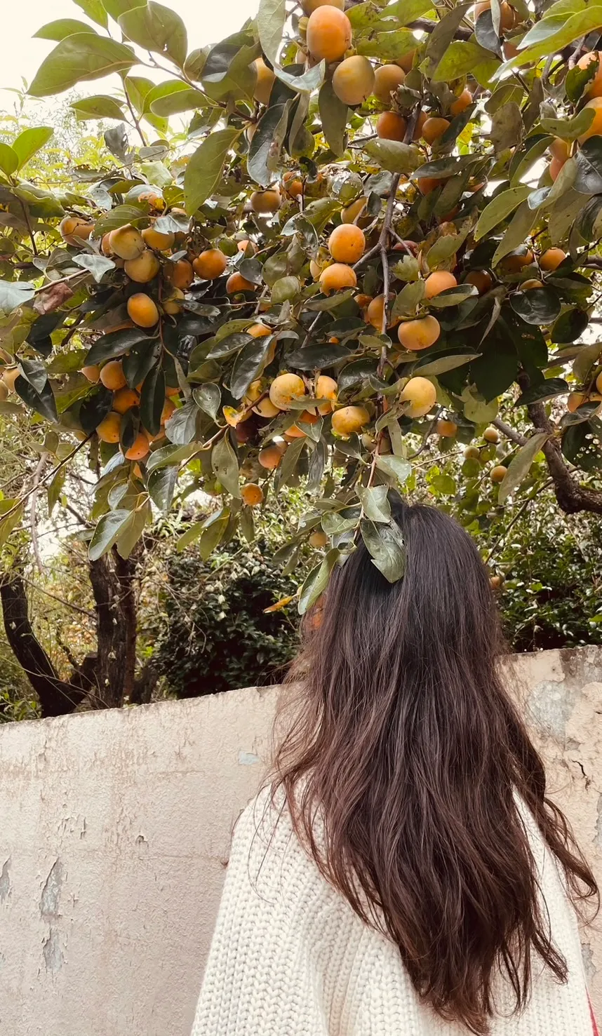 Ayaka Ohara profile photo