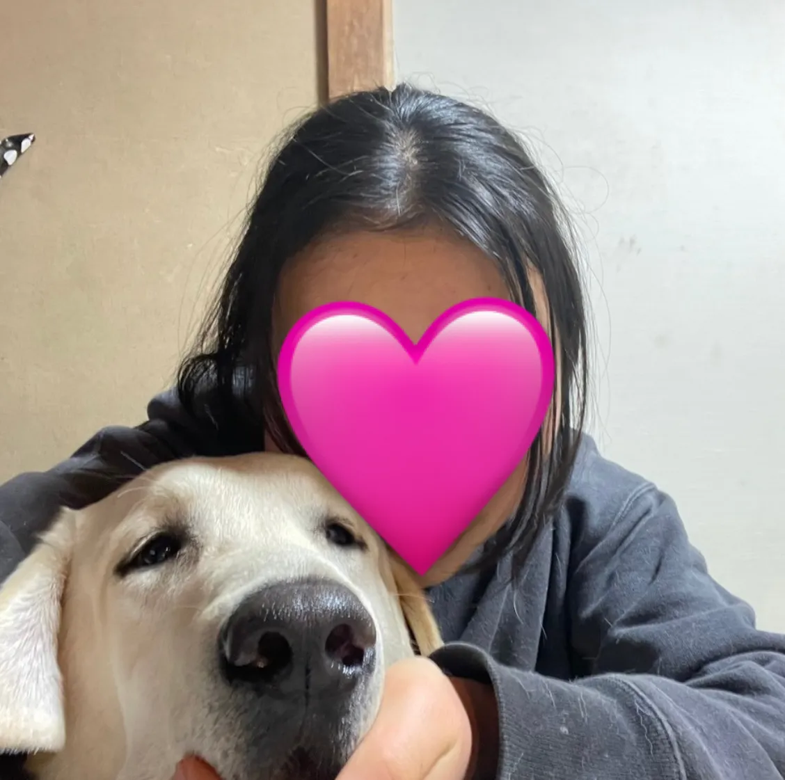 Nana Ueno profile photo